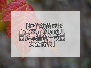 护佑幼苗成长 宜宾翠屏菜坝幼儿园多举措筑牢校园安全防线