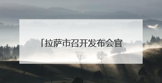 拉萨市召开发布会官宣黑颈鹤为“市鸟”