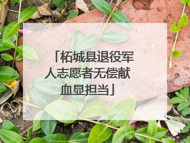 柘城县退役军人志愿者无偿献血显担当