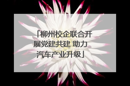 柳州校企联合开展党建共建 助力汽车产业升级