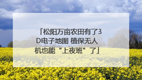 松阳万亩农田有了3D电子地图 植保无人机也能“上夜班”了