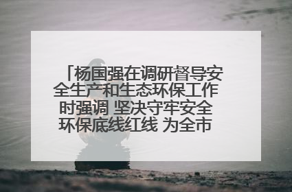 杨国强在调研督导安全生产和生态环保工作时强调 坚决守牢安全环保底线红线 为全市经济社会高质量发展提供坚强保障