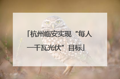 杭州临安实现“每人一千瓦光伏”目标