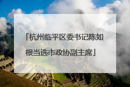 杭州临平区委书记陈如根当选市政协副主席