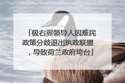 极右翼领导人因难民政策分歧退出执政联盟，导致荷兰政府垮台
