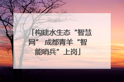 构建水生态“智慧网” 成都青羊“智能哨兵”上岗
