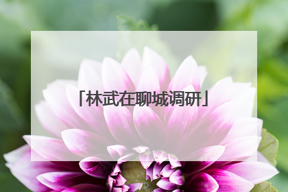 林武在聊城调研