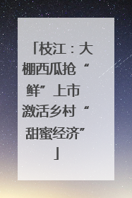 枝江：大棚西瓜抢“鲜”上市 激活乡村“甜蜜经济”