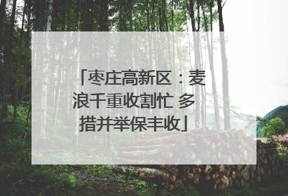 枣庄高新区：麦浪千重收割忙 多措并举保丰收