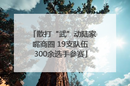 散打“武”动陆家嘴商圈 19支队伍300余选手参赛