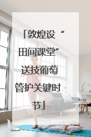 敦煌设“田间课堂” 送技葡萄管护关键时节