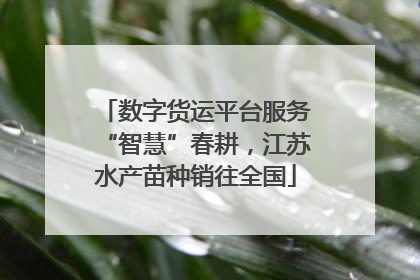 数字货运平台服务“智慧”春耕，江苏水产苗种销往全国
