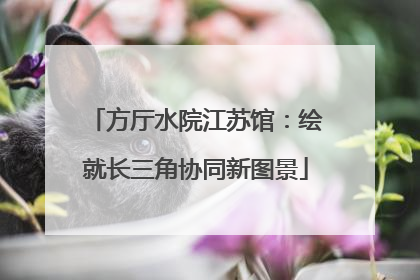 方厅水院江苏馆：绘就长三角协同新图景