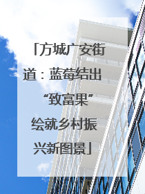 方城广安街道：蓝莓结出 “致富果” 绘就乡村振兴新图景