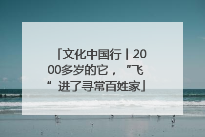 文化中国行丨2000多岁的它，“飞”进了寻常百姓家