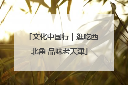 文化中国行｜逛吃西北角 品味老天津