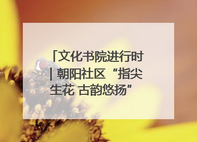 文化书院进行时｜朝阳社区“指尖生花 古韵悠扬”公益课堂开课了