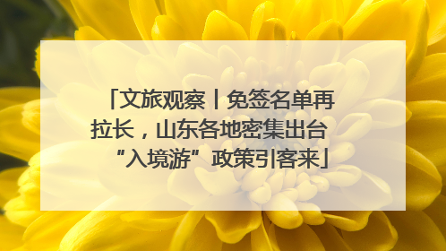 文旅观察丨免签名单再拉长，山东各地密集出台“入境游”政策引客来
