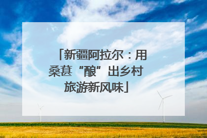 新疆阿拉尔：用桑葚“酿”出乡村旅游新风味