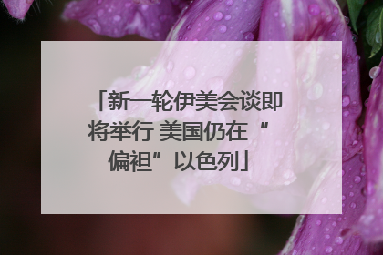 新一轮伊美会谈即将举行 美国仍在“偏袒”以色列