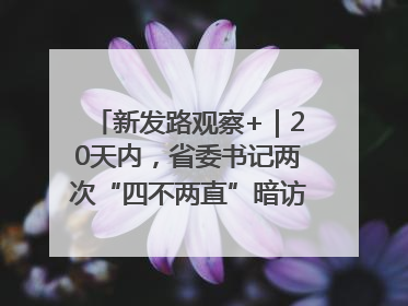 新发路观察+｜20天内，省委书记两次“四不两直”暗访，有何深意？