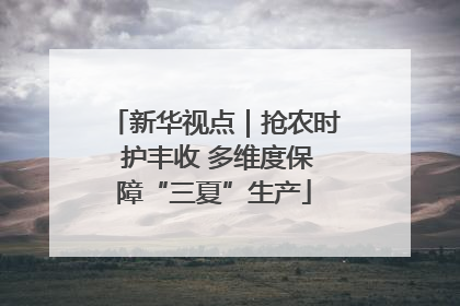 新华视点｜抢农时 护丰收 多维度保障“三夏”生产