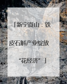 新宁崀山：铁皮石斛产业绽放“花经济”