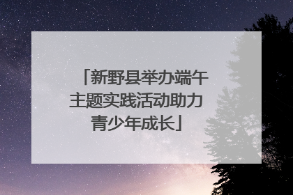 新野县举办端午主题实践活动助力青少年成长