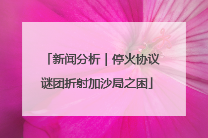 新闻分析｜停火协议谜团折射加沙局之困