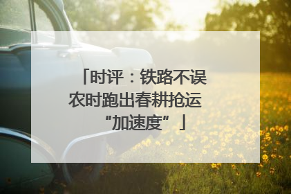 时评：铁路不误农时跑出春耕抢运“加速度”