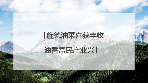 旌德油菜喜获丰收 油香富民产业兴