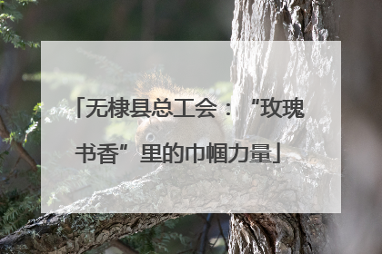 无棣县总工会：“玫瑰书香”里的巾帼力量