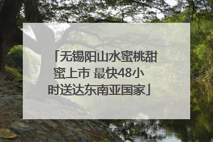 无锡阳山水蜜桃甜蜜上市 最快48小时送达东南亚国家