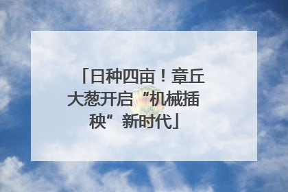 日种四亩！章丘大葱开启“机械插秧”新时代