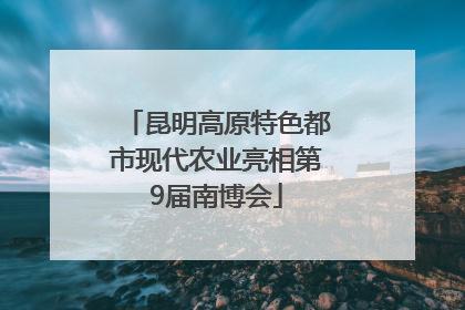 昆明高原特色都市现代农业亮相第9届南博会