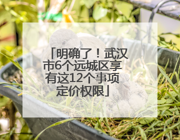 明确了！武汉市6个远城区享有这12个事项定价权限