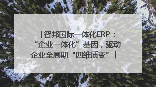 智邦国际一体化ERP：“企业一体化”基因，驱动企业全周期“四维质变”