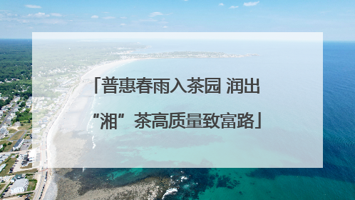 普惠春雨入茶园 润出“湘”茶高质量致富路