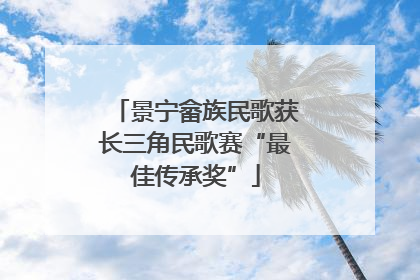景宁畲族民歌获长三角民歌赛“最佳传承奖”