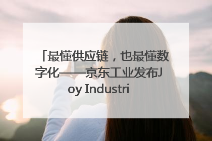 最懂供应链，也最懂数字化——京东工业发布Joy Industrial 重塑工业未来