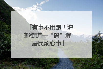 有事不用跑！沪郊街道一“码”解居民烦心事