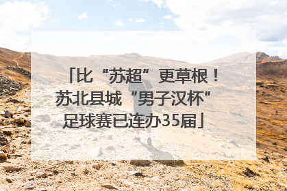 比“苏超”更草根！苏北县城“男子汉杯”足球赛已连办35届