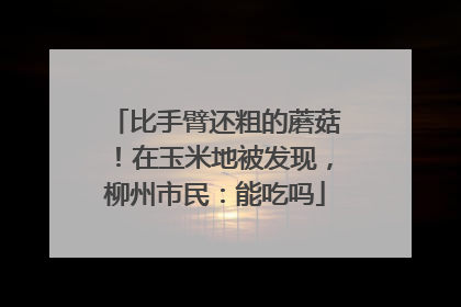 比手臂还粗的蘑菇！在玉米地被发现，柳州市民：能吃吗