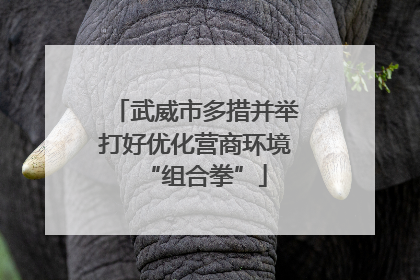 武威市多措并举打好优化营商环境“组合拳”