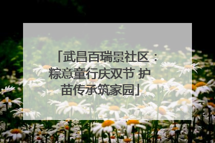 武昌百瑞景社区：粽意童行庆双节 护苗传承筑家园
