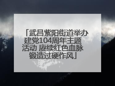 武昌紫阳街道举办建党104周年主题活动 赓续红色血脉锻造过硬作风
