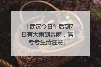 武汉今日午后到7日有大雨到暴雨，高考考生请注意