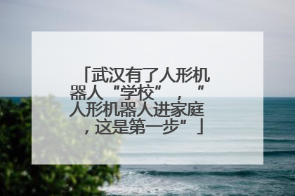 武汉有了人形机器人“学校”，“人形机器人进家庭，这是第一步”
