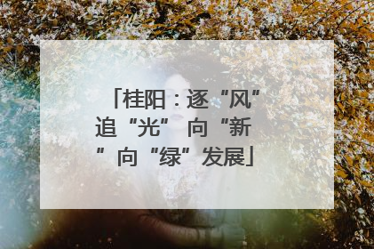桂阳：逐“风”追“光” 向“新”向“绿”发展