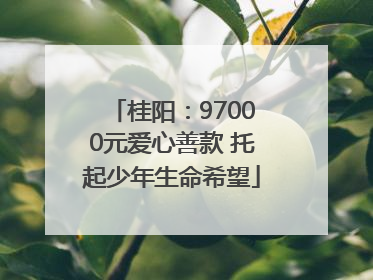 桂阳：97000元爱心善款 托起少年生命希望